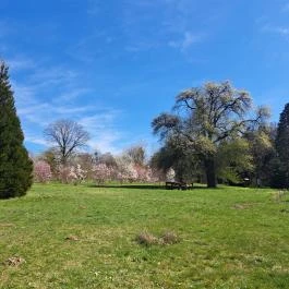 MATE Gödöllői Botanikus Kert, Gödöllő - Egyéb