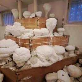 Mátyás Király Gyógyszálloda Hajdúszoboszló - Egyéb