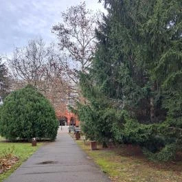 Mátyás Király Gyógyszálloda Hajdúszoboszló - Egyéb