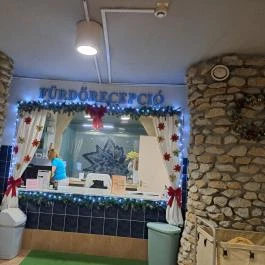 Mátyás Király Gyógyszálloda Hajdúszoboszló - Egyéb