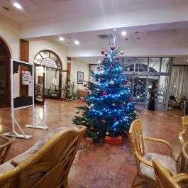 Mátyás Király Gyógyszálloda Hajdúszoboszló - Egyéb