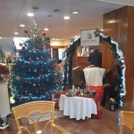 Mátyás Király Gyógyszálloda Hajdúszoboszló - Egyéb