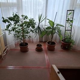 Mátyás Király Gyógyszálloda Hajdúszoboszló - Egyéb