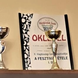 Mátyás Király Gyógyszálloda Hajdúszoboszló - Egyéb