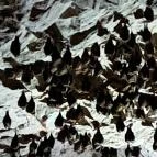 Mesélő föld Felsőpetény - Egyéb