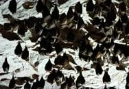 Mesélő föld Felsőpetény