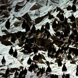 Mesélő föld Felsőpetény - Egyéb