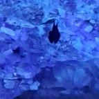 Mesélő föld Felsőpetény - Egyéb