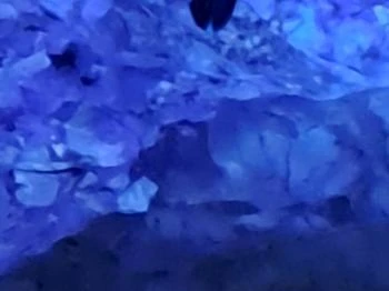 Mesélő föld Felsőpetény