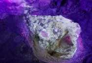 Mesélő föld Felsőpetény