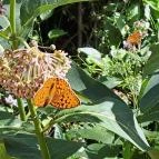 Mesélő föld Felsőpetény - Egyéb