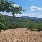 Mesélő föld Felsőpetény - Egyéb