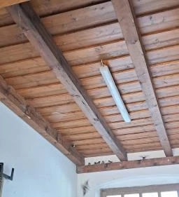 Mezőhegyesi Nemzeti Ménesbirtok