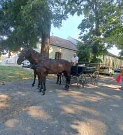 Mezőhegyesi Nemzeti Ménesbirtok