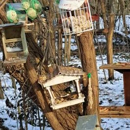 Mókaliget Budapest - Egyéb