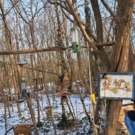 Mókaliget Budapest - Egyéb