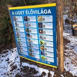 Mókaliget Budapest - Egyéb