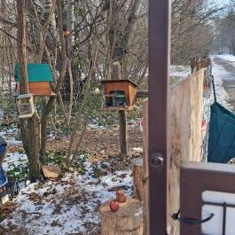 Mókaliget Budapest - Egyéb