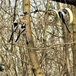 Mókaliget Budapest - Egyéb