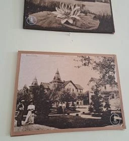 Morzsázó Önkiszolgáló Étterem 