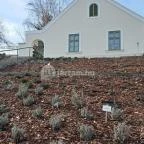 Mosonmagyaróvári Vár Mosonmagyaróvár - Egyéb