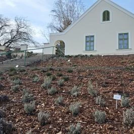 Mosonmagyaróvári Vár Mosonmagyaróvár - Egyéb