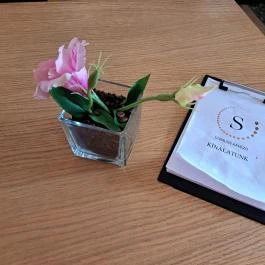 Mosonmagyaróvári Vár Mosonmagyaróvár - Egyéb