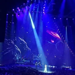 MVM Dome Budapest - Egyéb