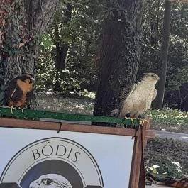 Nádasdy-kastély Nádasdladány - Egyéb