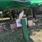 Nádasdy-kastély Nádasdladány - Egyéb