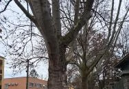 Nádaspart Horgásztó Hajdúszoboszló