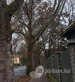 Nádaspart Horgásztó