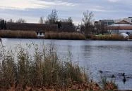 Nádaspart Horgásztó Hajdúszoboszló