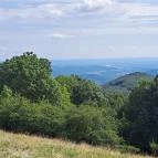 Nagy-Hideg-hegy Szokolya - Egyéb