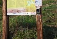 Nagy-Hideg-hegy Szokolya