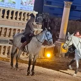 Nemzeti Lovas Színház, Budapest - Egyéb