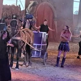 Nemzeti Lovas Színház, Budapest - Egyéb