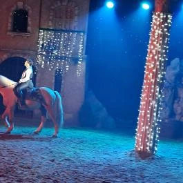 Nemzeti Lovas Színház, Budapest - Egyéb