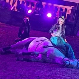 Nemzeti Lovas Színház, Budapest - Egyéb