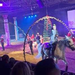 Nemzeti Lovas Színház, Budapest - Egyéb