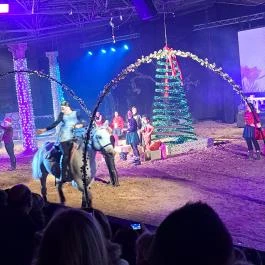 Nemzeti Lovas Színház, Budapest - Egyéb