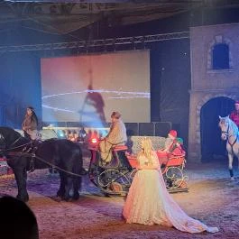 Nemzeti Lovas Színház, Budapest - Egyéb