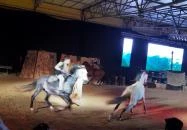 Nemzeti Lovas Színház Budapest