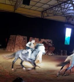 Nemzeti Lovas Színház