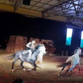 Nemzeti Lovas Színház, Budapest - Egyéb