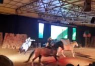 Nemzeti Lovas Színház Budapest