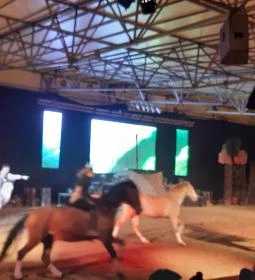 Nemzeti Lovas Színház