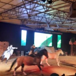 Nemzeti Lovas Színház, Budapest - Egyéb