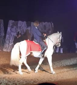 Nemzeti Lovas Színház