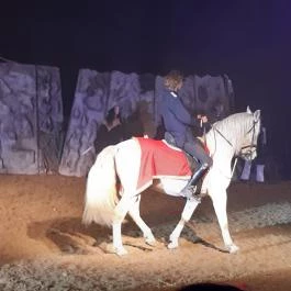 Nemzeti Lovas Színház, Budapest - Egyéb